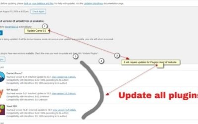 WordPress Update For Website Gives More Performance Improvement